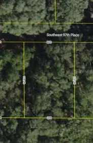 OCKLAWAHA FL Property