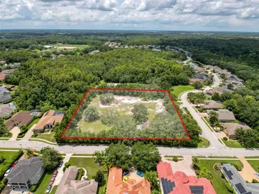 ODESSA FL Property