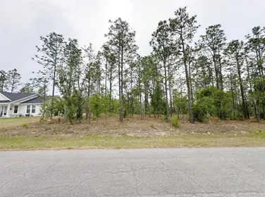 WILLISTON FL Property