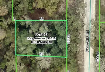 DADE CITY FL Property