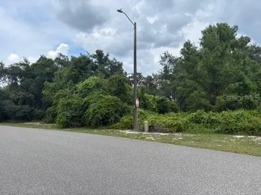 HAINES CITY FL Property