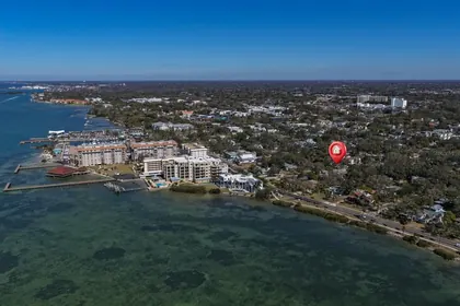 DUNEDIN FL Property