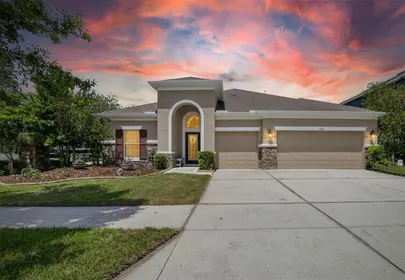 LITHIA FL Home