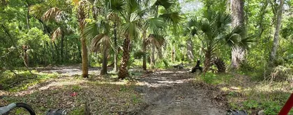 ZEPHYRHILLS FL Property