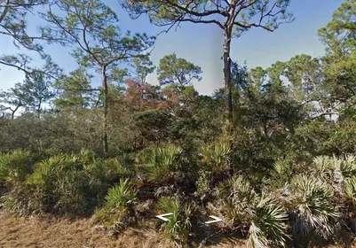 LAKE PLACID FL Property