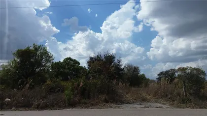 ARCADIA FL Property