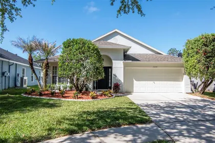 WESLEY CHAPEL FL Home