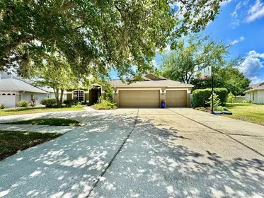 LUTZ FL Home