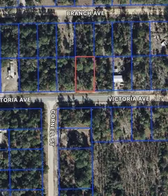 INTERLACHEN FL Property