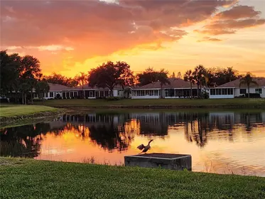 SUN CITY CENTER FL Home