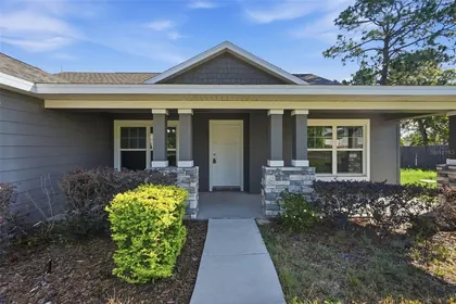 SPRING HILL FL Home