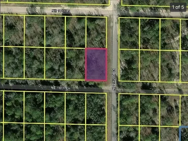 WILLISTON FL Property