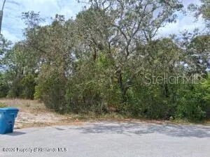 SPRING HILL FL Property