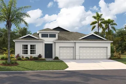 APOLLO BEACH FL Home