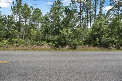 BUNNELL FL Property