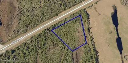 MIMS FL Property