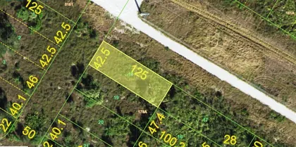 PUNTA GORDA FL Property