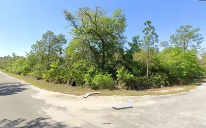 OCKLAWAHA FL Property