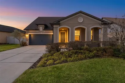 WESLEY CHAPEL FL Home