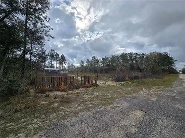 DUNNELLON FL Property