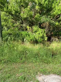 GENEVA FL Property