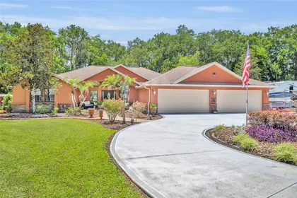 LAKE PANASOFFKEE FL Home