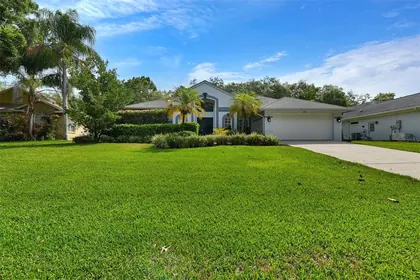 PALM HARBOR FL Home