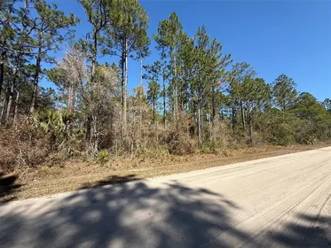 BUNNELL FL Property