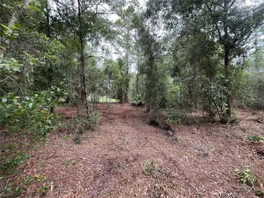 GEORGETOWN FL Property