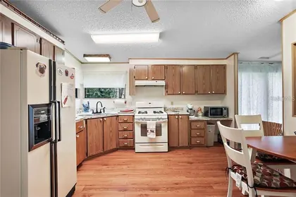 MOUNT DORA FL Home