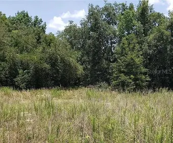 INVERNESS FL Property