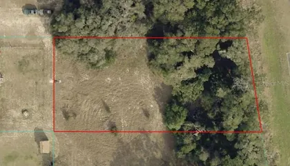 SUMMERFIELD FL Property