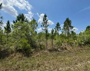 INDIAN LAKE ESTATES FL Property