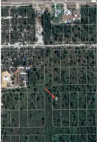 LAKE PLACID FL Property