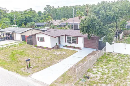 HOLIDAY FL Home