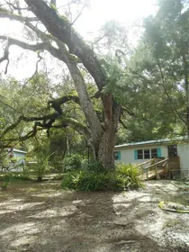 SALT SPRINGS FL Home