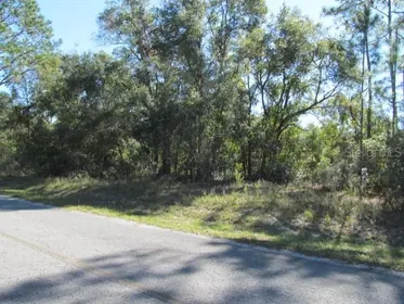 OCKLAWAHA FL Property