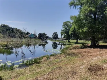 BELLEVIEW FL Property