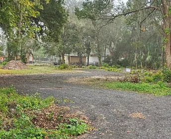 PLANT CITY FL Property