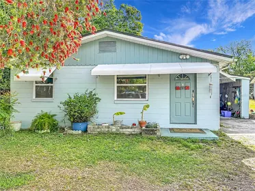 NEW SMYRNA BEACH FL Home