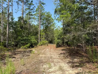 SATSUMA FL Property