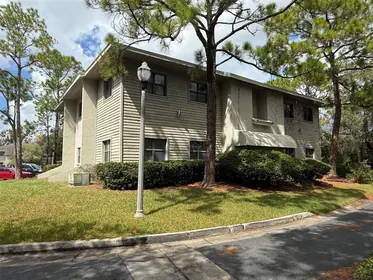 CLEARWATER FL Property
