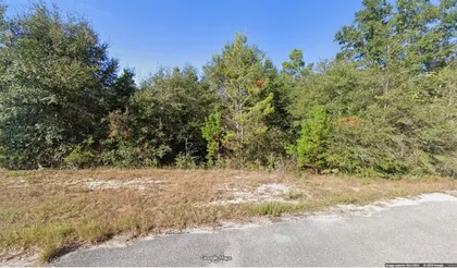 CHIPLEY FL Property