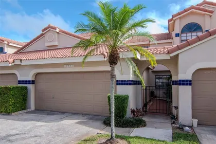 TAMPA FL Home