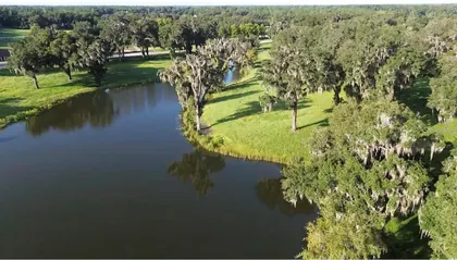 SUMMERFIELD FL Property