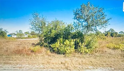 LEHIGH ACRES FL Property