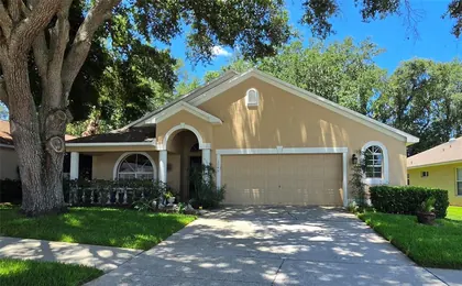 VALRICO FL Home