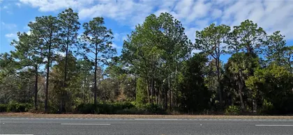 WEEKI WACHEE FL Property