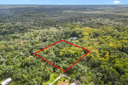 WEBSTER FL Property