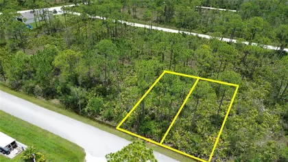 PUNTA GORDA FL Property